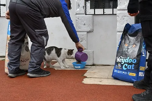 Can Dostlarımızın Yanındayız 