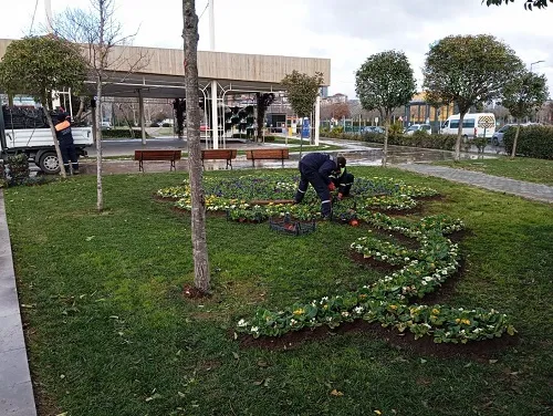 Çiçeklerle Donaltıyorlar 