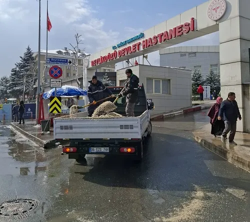 TAM KAPASİTE SAHADA