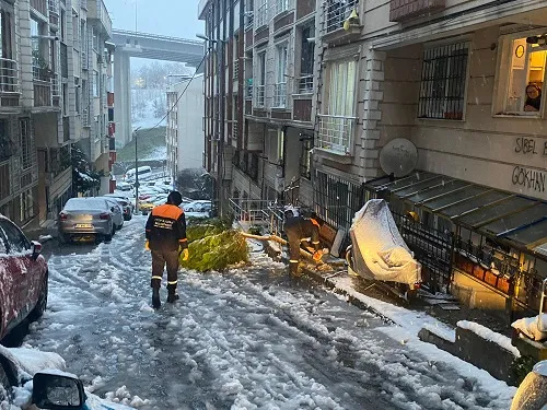 Kırılan Ağaçlar Kaldırılıyor