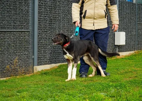 Sıcak Yuvalarına Kavuştular 