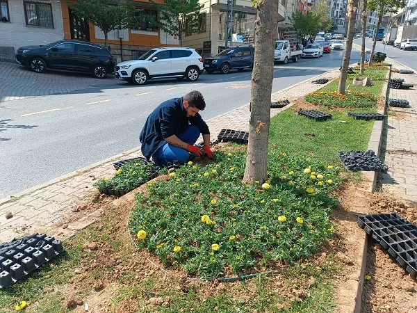 KÂĞITHANE’DE YEŞİL ALANLARDA BAKIM ÇALIŞMALARI GERÇEKLEŞTİRİLİYOR